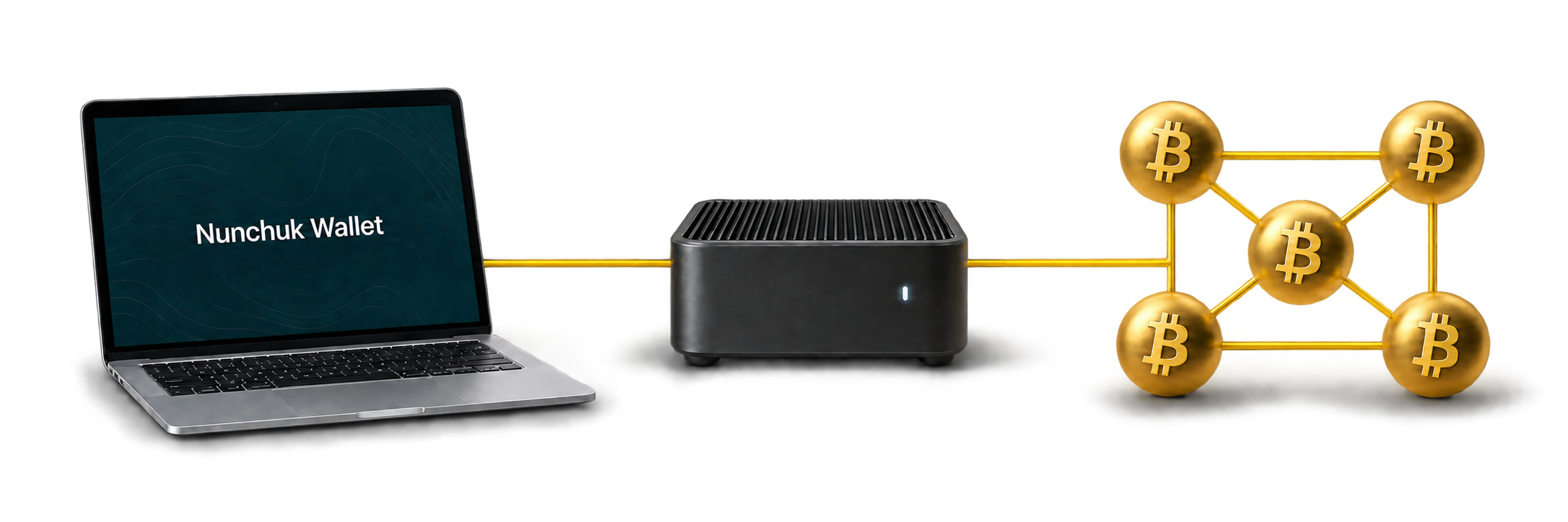 Nunchuk Wallet on a laptop connected to an independent personal node, then to the Bitcoin network